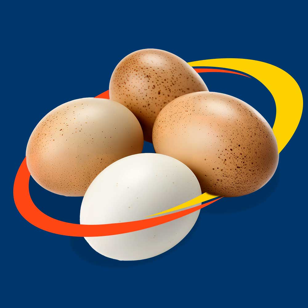 Huevos de alta calidad Ovofit